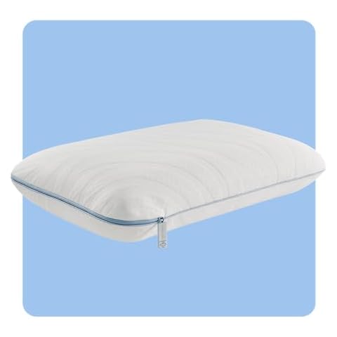 Sealy Dreamlife Memory Foam Pillow Cover