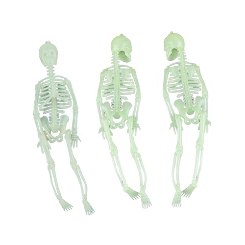 Happyyami Halloween Luminous Skull Skeleton Props 3pcs 20cm Plastic Skeleton Decorations Night-Glow for Party Decoration