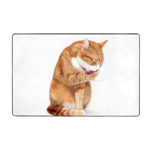 L L lR  J[ybg ` O}bg O O~ lC ėp h_j R h hL ӂƎG  DtlO g[Ή 􂦂 ~ߕt Aj ObY LN^[ v[g 100 × 150 Cm