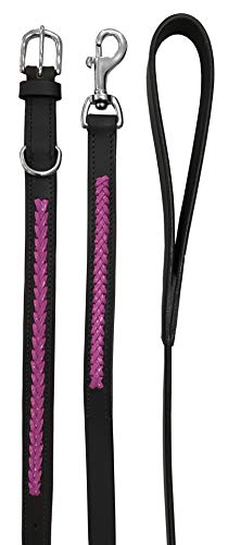 BRADLEY CROMPTON Juego de Correa y Collar para Perro Fabricado con Cuero Auténtico M