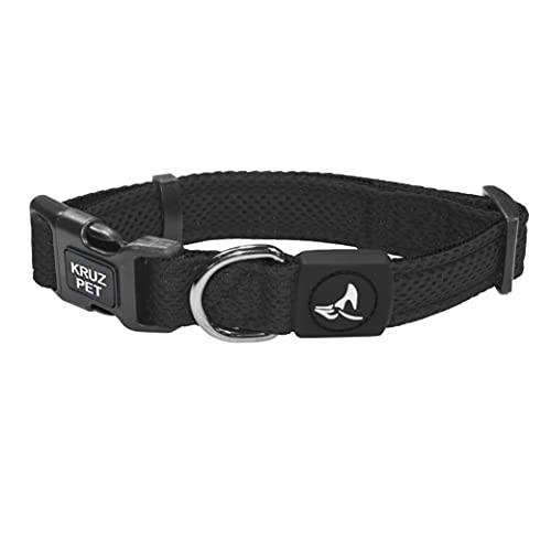 The Best Color Collar For Black Dog