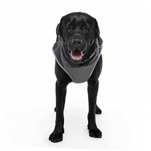 wasserdichte Hunderegenmäntel, Hunderegenmantel, Kleidung für Haustiere, reflektierende Weste für Hunde, Outdoor-Hundejacken, Hundesportkleidung, Hundewinterja
