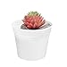 Pratique 10 pcs mini rond en plastique Pot de fleurs Nursery Home Office Décor vert artificiel Raffinement Outils de jardin décoratif (Color : White)