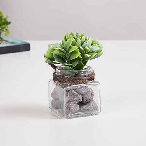 Image of Home Centre Corsica Eden Green Artificial Succulent Flower Arrangement in Glass Jar