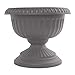 Bloem 14.8 in. H x 17.8 in. Dia. Peppercorn Plastic Grecian Urn Flower Pot - Case of: 66