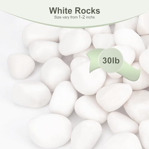 Image of Pulovin 30 lbs White Rocks for Plants Indoor, 1-2 inch Decorative Garden Stone Outdoor Landscaping, Walkways, Yard, Large Polished River Rocks for Plants Pots, Vases, Crafts