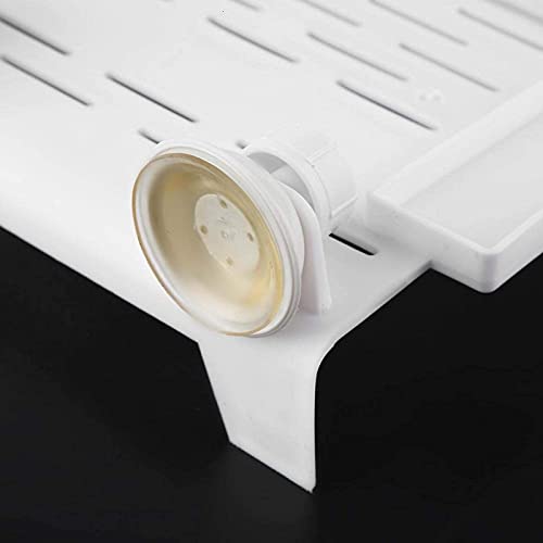 1994 Piattaforma per Tartarughe Terrazza per