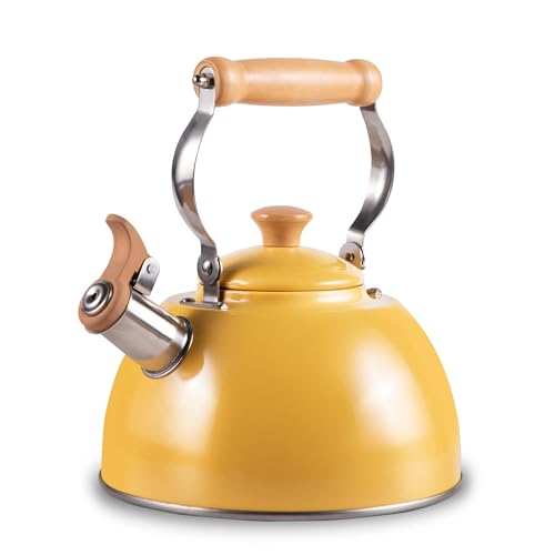 Best Tea Kettles 2024 Totally Reviewed