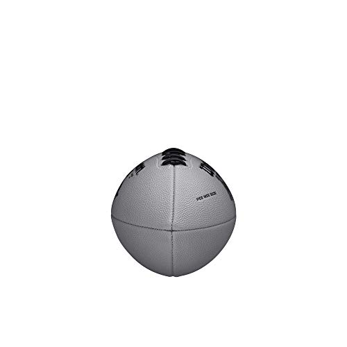Image of WILSON NFL Recreational Footballs