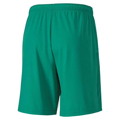 Image of PUMA - Mens Teamgoal 23 Knit Shorts
