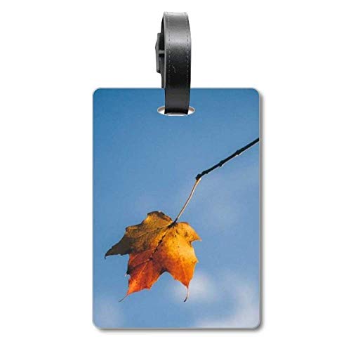 Étiquette de valise Sky Maple avec motif de paysage nature pour bagage