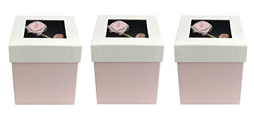 Emartbuy Set of 3 Luxe Rigide Boîte Cadeau de Présentation Carrée, 11,5 x 11,5 x 9,5 cm, Boîte Rose Avec Couvercle Crème, Intérieur Brun Chocolat et Avec Décoration De Fleur De Rose