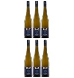 Weingut Manz Scheurebe trocken Kalkstein weiß Deutschland inkl. FeinWert E-Book (6 x 0,75 l)