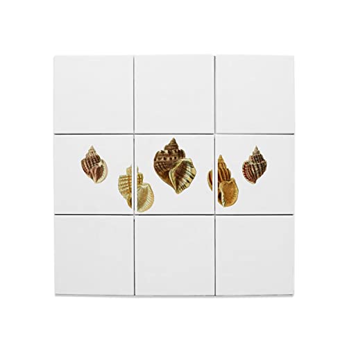 Carreaux céramique minimaliste haut de gamme coquilles 60x60
