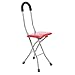 Z-SEAT Tabouret de Canne de Marche, Tabouret de Canne de Marcheur de Vieil Homme léger et antidérapant en Acier Inoxydable Pliable