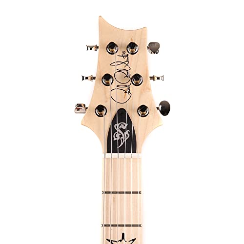 PRS Fiore Amaryliss Guitarra Eléctrica - Les Beatles, Paul McCartney, John Lennon, RIngo Starr, George Harrison PRS Fiore Amaryliss Guitarra Eléctrica – Image 5