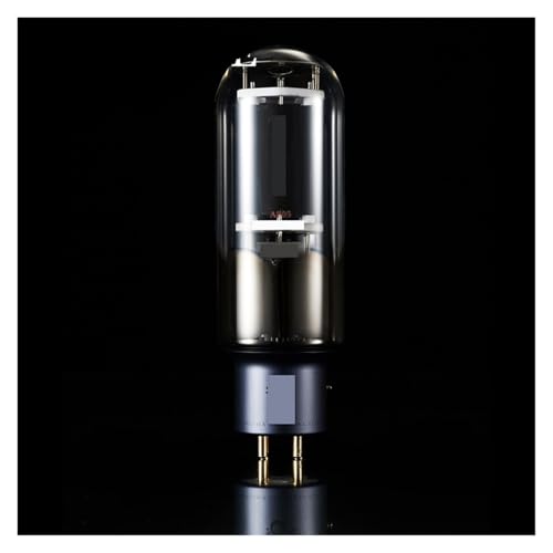 805 Tube Replacement 805 Vacuum Tube Precision Matched for Amplifier(2 pcs)
