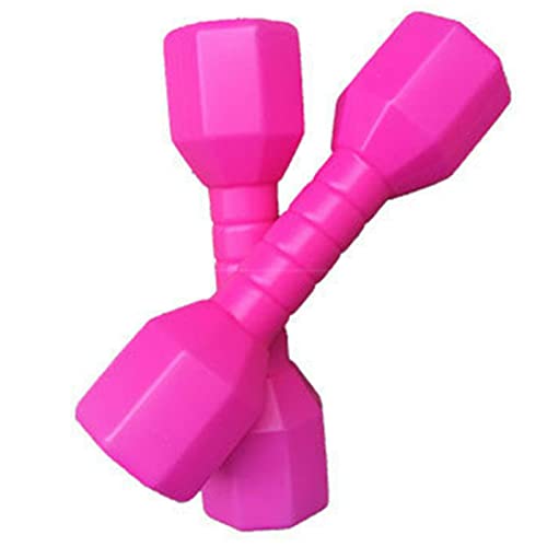 Juego de mancuernas para niños, 2 unidades / juego de juguetes para niños, equipo de fitness, pesas de mano, peso ligero, portátil, para niños, guardería, regalo divertido (rosa rojo)