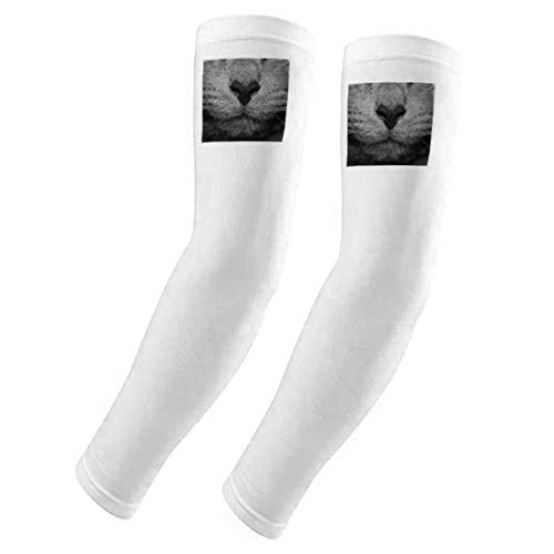 Gants pour photographie protection UV accessoire photo chat
