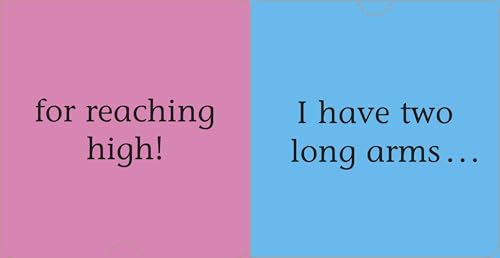 FUN FLAPS: All About Me! - Image 3