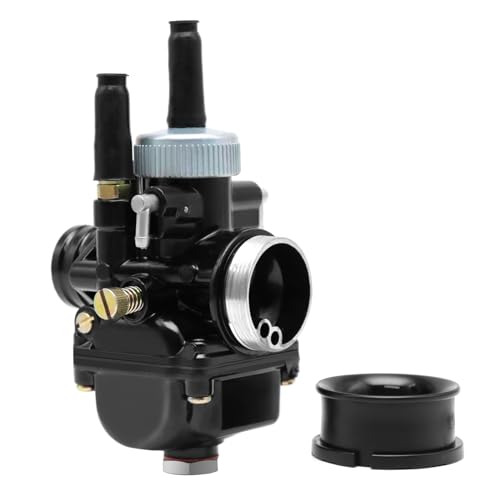 ZSDTRP - Carburateur de moto pour Dellorto PHBG DS 21 mm Carburateur pour scooter 2 temps 50-110 cc scooter cyclomoteur (21 mm)