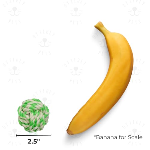 6 Pack Rope Balls for Small Dogs & Puppies – Durable, Interactive Chew Toys – for Playtime and Fetch- Ideal for Teething, Training, and Playtime 6 Pack Rope Balls for Small Dogs & Puppies – Durable, Interactive Chew Toys – for Playtime and Fetch- Ideal for Teething, Training, and Playtime