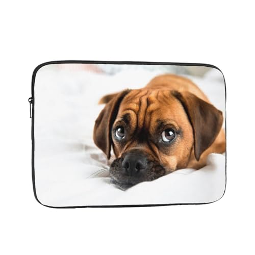 Ή pO̎q 17 Inch PcP[X Pc[Jo PcP[X m[gp\R ^ubgpc h m[gpc P[X rWlX  yʃp\RobO