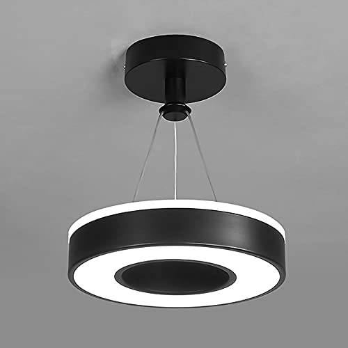 Lámpara colgante de anillo LED moderna en metal y acrílico para la iluminación de pasillos