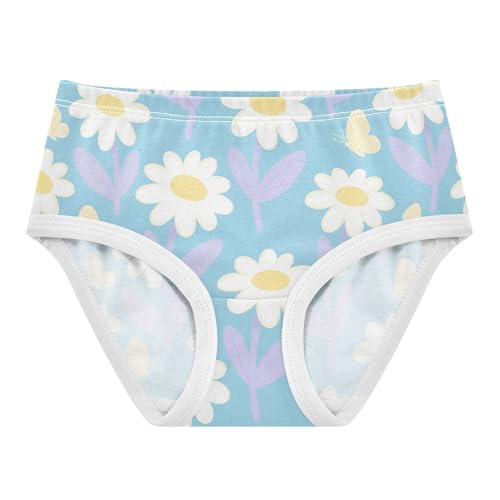GuoChe Cotton Briefs 1-piecing Hip Design Panties Organic Underpants for Toddler Girls in Sizes 2T-8Y