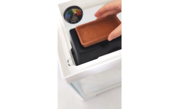 Amazon.co.jp: PRUNCRUN ウェットシェルター レオパ カビにくい 隠れ家