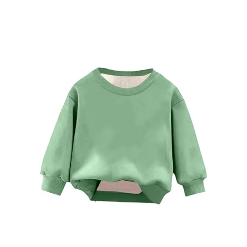 Oversized Sweatshirts For Girls Cute Crew Neck Fleece Hoodies Drop Shoulder Long Sleeve Pullover Sweatshirts Puppy Top