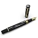 Wordsworth & Black Primori Fountain Pen Set [Black Gold]; Medium Nib, Gift Case, 24 Ink Cartridges, Refill Converter, Manual; Journaling, Calligraphy, Smooth Writing Pens; Left & Right Handed