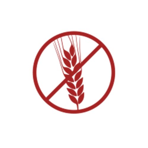 defu Hundefutter | 6 x 820 g | Bio Rind Sensitiv getreidefrei | Premium Bio Nassfutter Menü | Alleinfuttermittel für Hunde