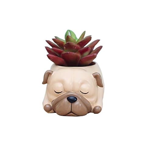 Youfui Cute Dog Flowerpot Resin Succulent Planter Desk Mini Ornament (Pug) Cover