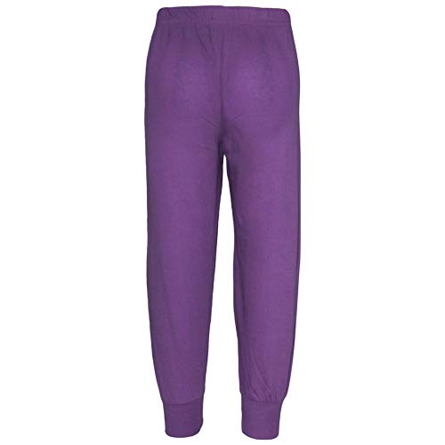 PJS Unicorn 152 Lilac le cadeau d'anniversaire idéal pour fille
