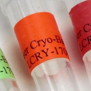 Cryo-Tags (Orange) (20/pk.)