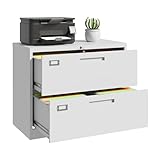 ZAOUS 2 Drawer Lateral File...