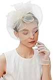 BABEYOND Fascinator Headband Veil Feather Fascinator Hair Clip Tea Party Pillbox Derby Hat Fascinator Bridal Wedding Veil (White)