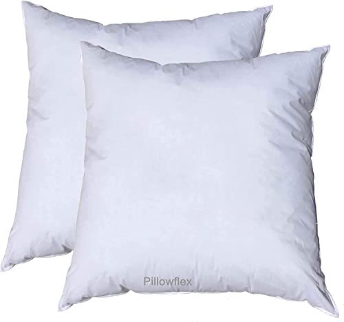 Pillowflex Synthetic Down Alternative Pillow Inserts For Shams - Down Alternative Throw Pillow Inserts - Large Throw Pillows - Handmade Throw Pillows - Pillow Inserts 20X20 Set Of 2 #TOP19