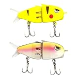PBAHAUP Set Esche da Pesca Artificiali, 2 Pezzi Esche 3D ad Alta Simulazione per Spinning e Pesca Mare, Kit Esca per Trota, Spigola, Persico e Luccio, 2 Pezzi in Offerta