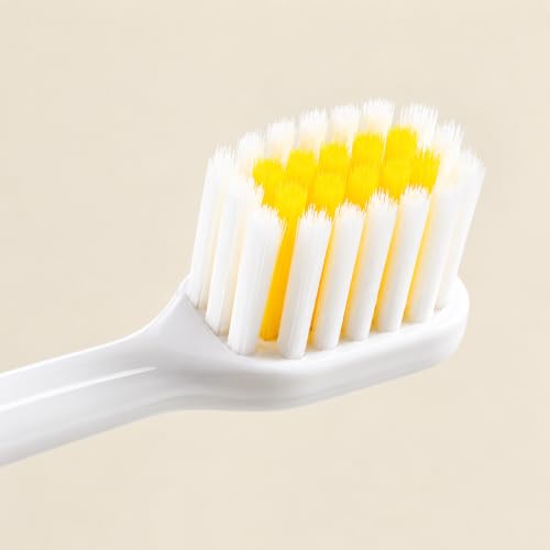 Buy Prostuff.in Mini Folding Toothbrush - 2 in 1 Portable Travel Toothbrush with Cover and Toothpaste Case, Foldable and Replaceable Heads - Multicolour (1 Pcs) Online at Low Prices in India - Amazon.in - Image 5
