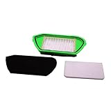 Repuesto de kit de filtros para aspirador marca Rowenta.
