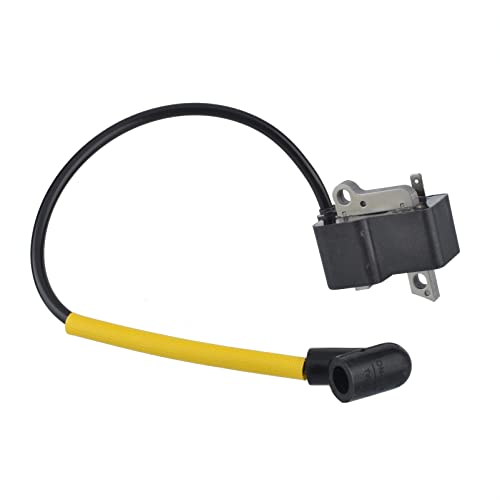 Cancanle Bobina del modulo di accensione per