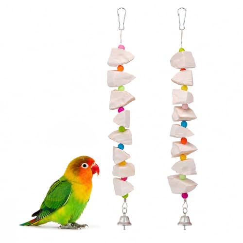 Agroria 2 Pack Bird Toys with Cuttlebone & Beak Grinding Stone–Cage Accessories for Parakeets, Budgies, Cockatiels, Lovebirds, Green Cheeks & Small to Medium Birds