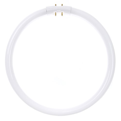 Sunlite Fc22T5/Sp841 Fluorescent 22W T5 Circline Ceiling Lights, 4100K Cool White Light, 2Gx13 Base #TOP17