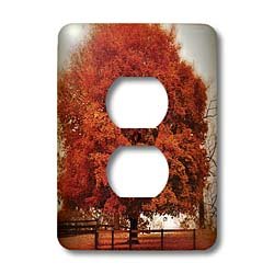 Couvercle de sortie tombant 3dRose lsp_48682_6 plaque de finition murale cache prise