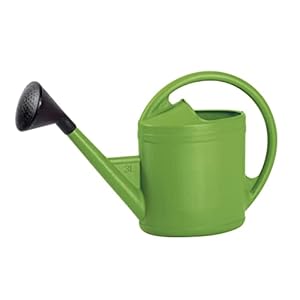 EDA – Gieter ovaal 3 liter Parijse – met zwarte appel – 42 x 12 x 27 cm – groen