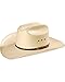 Stetson Men's 10X Grant Straw Cowboy Hat Natural 7 1/4