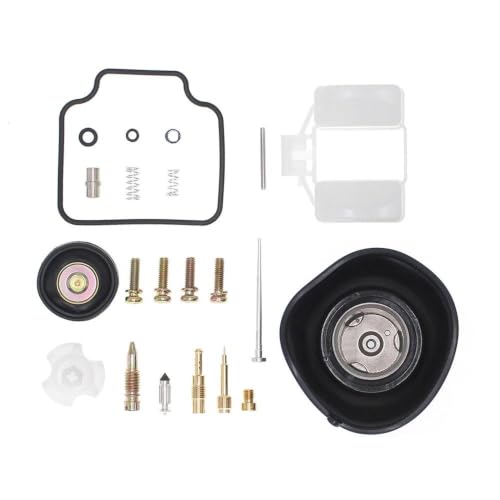 Kit de reparación de carburador para CBX250 para evitar fugas de moto