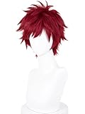 Short Wine Red Anime Cosplay Wig Men's Dark Red Spiky Layered Synthetic Hair Wigs for Women Man Unisex Halloween Daily